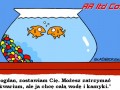 Rozwód