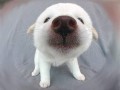 Kiss me