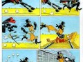 Zorro