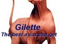 Gilette