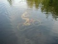 Biker