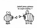 Jeżeli jemy...