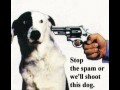 Spam dog