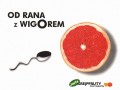 Wigor