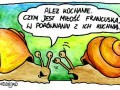 Ślimaki