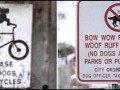 No dogs