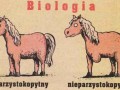 Biologia