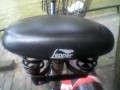 Lepper