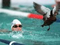 Sport swimmer and duck