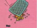 Ostatni maja