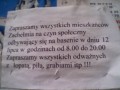 Czyn na basenie