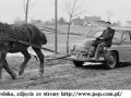 Foto koń