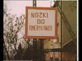 Nóżki