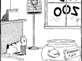 Bobs zoo