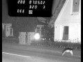 Speeding duck