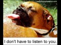 Dog tongue