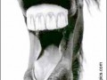 Happy horse