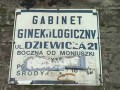 Ginekolog