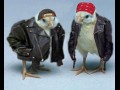 Biker chicks