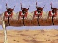 Desert limo