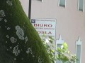 Biuro osła