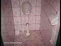 Pisuar