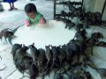 Nasi przyjaciele