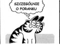 Jajecznica