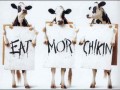Cows