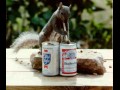 Smart squirrel
