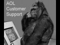Gorilla aol