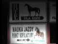 Nauka jazdy... Punkt