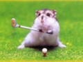 Golfista