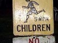 No hunting