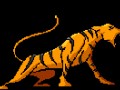 Tygrysek