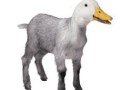 Goose