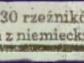 Niemieckie świnie