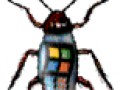 Ms bug