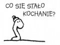 Lizak