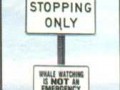 Sign whales