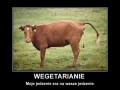 Wegetarianie