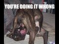 Youre doing it wrong