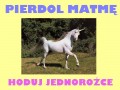 Hoduj jednorożce