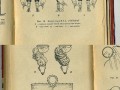 Robopies