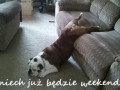 Niech już będzie weekend