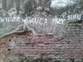 Widzew kuca