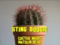 Gra na kaktusie