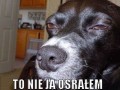Co się tak gapisz?