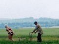 Ciągnij ciągnij!