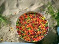 Skąd się biorą skittlesy?